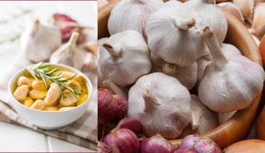 benefits of garlic